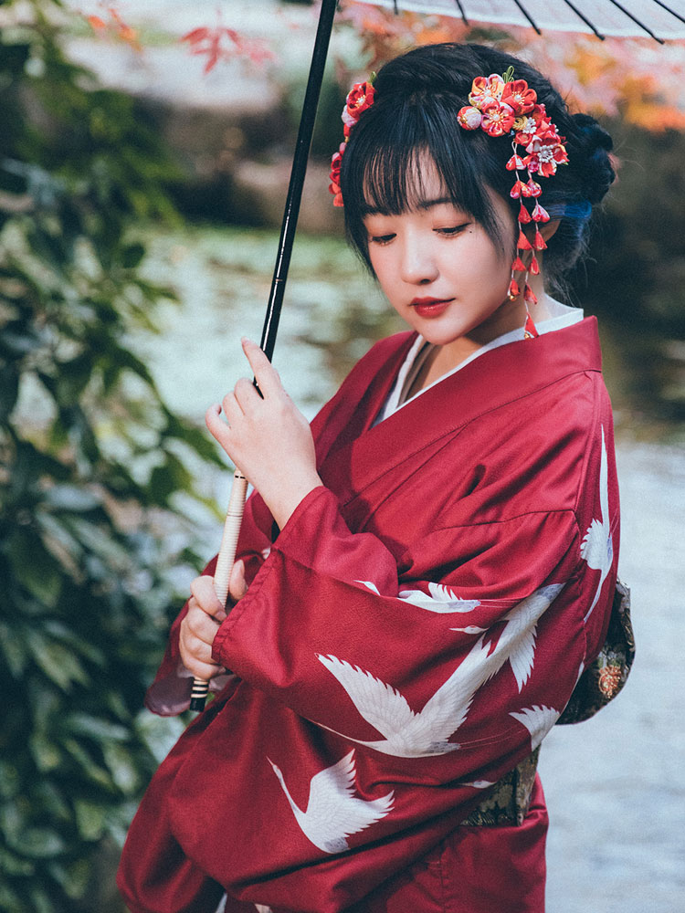 Japanse formele kimono voor da - Japanese Women Formal Wear recensie en prijs