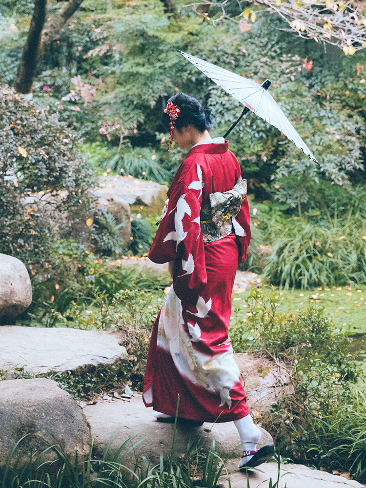 Japanse formele kimono voor da - Japanese Women Formal Wear recensie en prijs