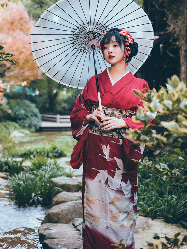 Japanse formele kimono voor da - Japanese Women Formal Wear recensie en prijs